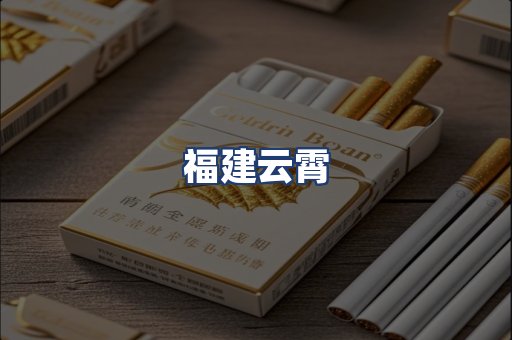 福建云霄